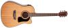 D5CE Washburn Acoustic / Electric Package New (5-7 days)